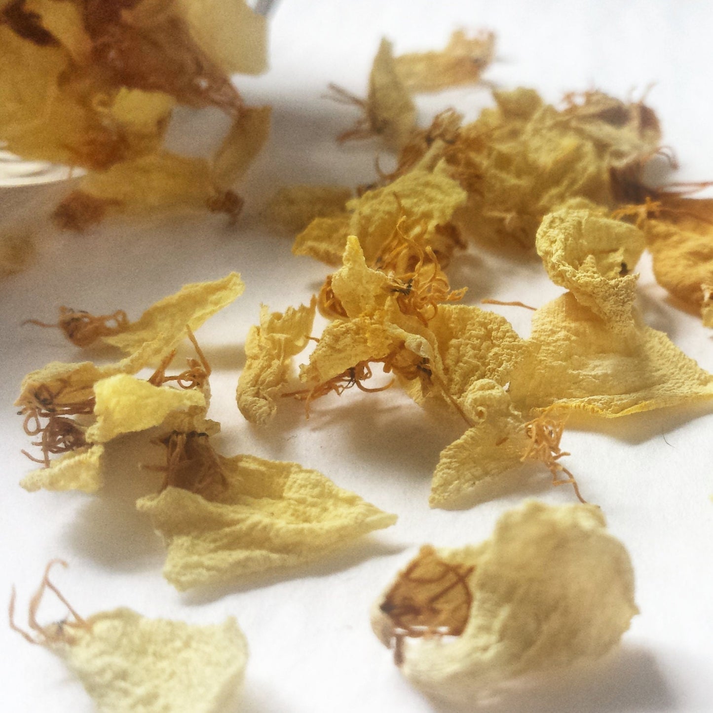 golden poppy flower petal tea