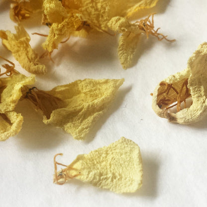 golden poppy flower petal tea